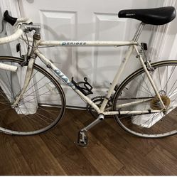 VINTAGE GIANT PERIGEE ROAD BICYCLE SHIMANO