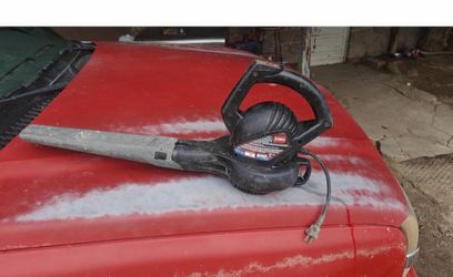 Sopladora electrica 30 dlls