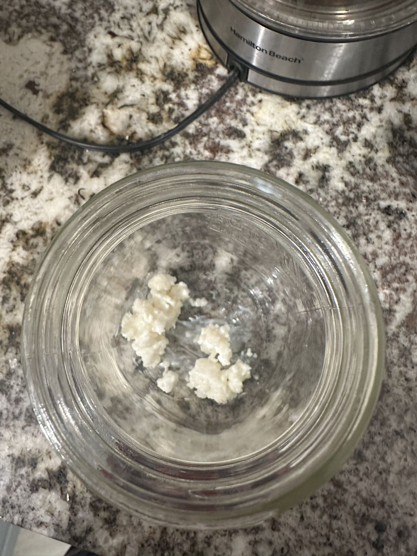 Kefir Grains 