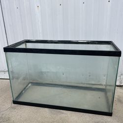 29 Gallon Glass Aquarium Tank