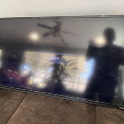 55” Vizio Flat  Panel TV