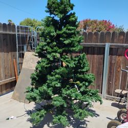 Artificial Christmas Tree Lights Up Light Up 7 Ft
