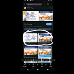 Free Government Phones 