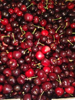 🍒 CHERRIES COLD CRUNCHY & SWEET LIKE CANDY