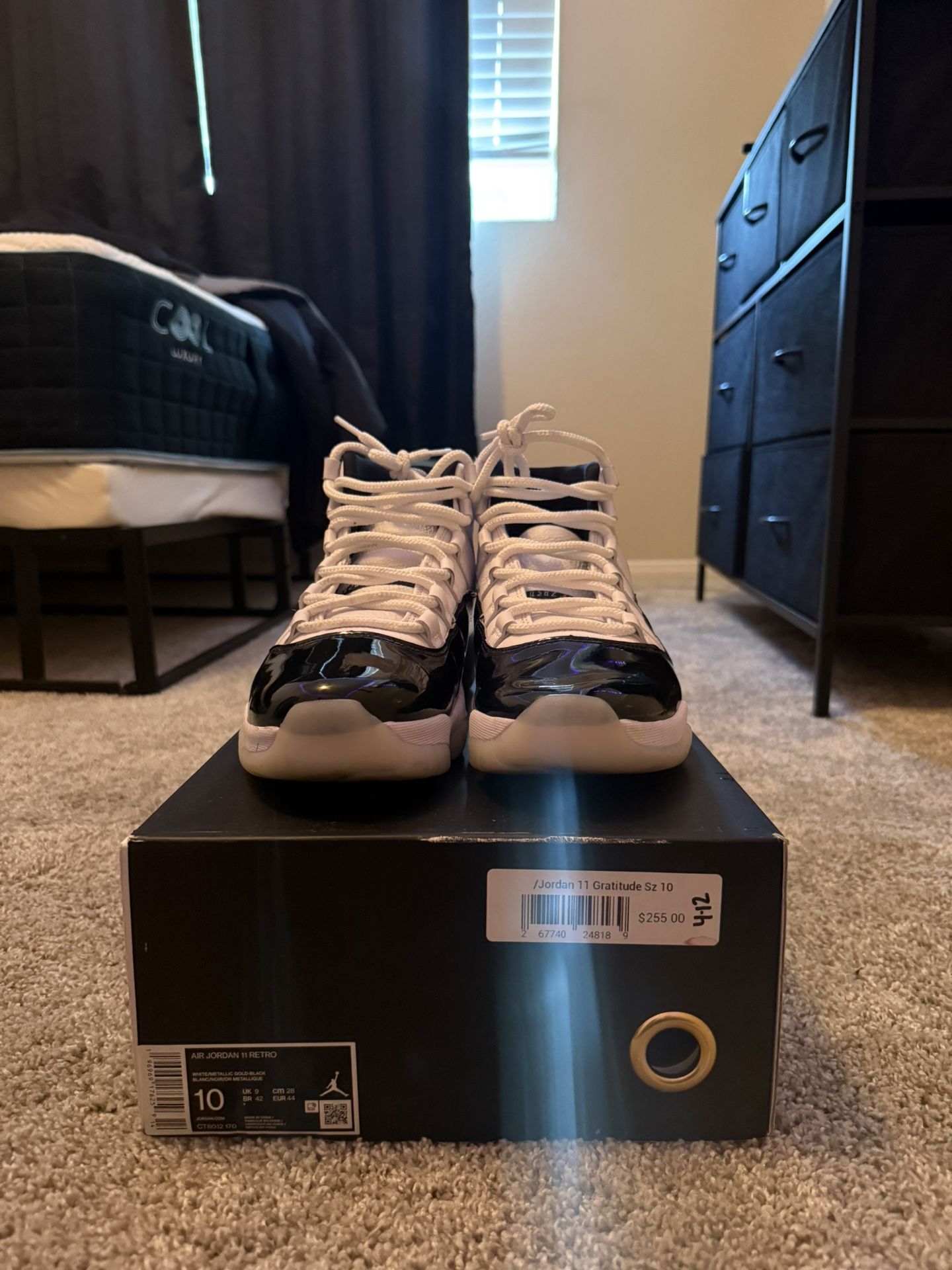 Jordan 11 Gratitude