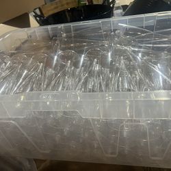 Disposable Champagne Glasses