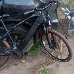 Eltric Bike