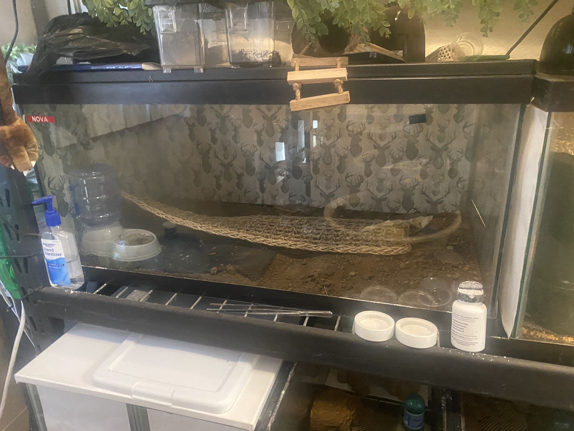 40 Gallon Tank For Sale 