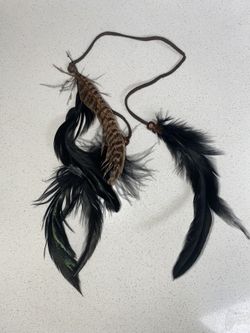 Feathers 