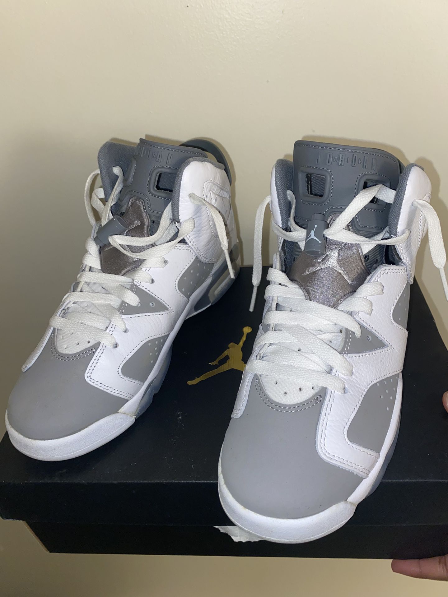 Air Jordan Retro 6