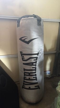 Ever last punching bag
