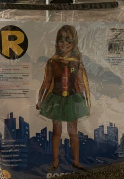 Robin costume