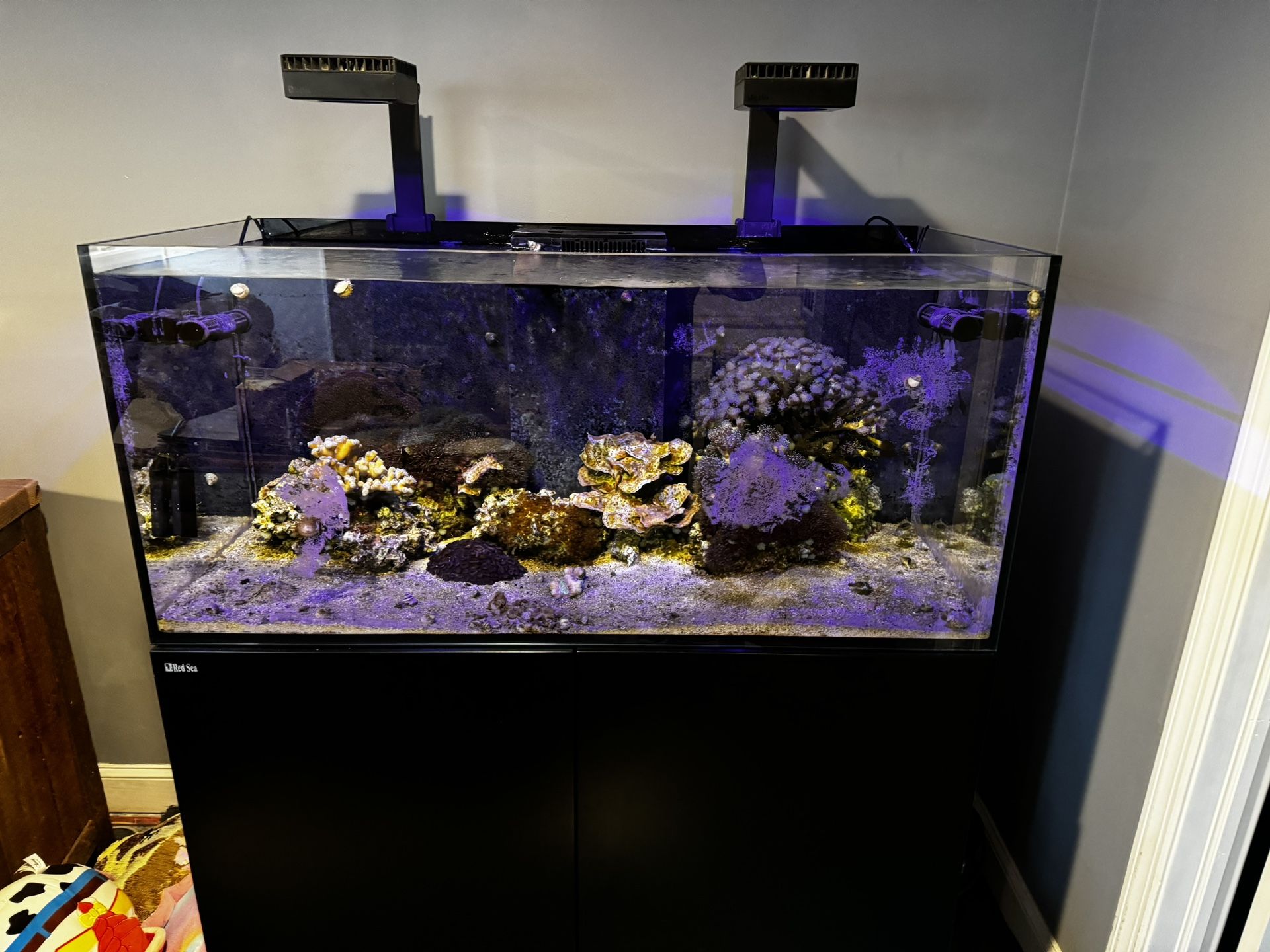 Red Sea Reefer 425xl