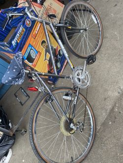 Raleigh Skyline Bike 