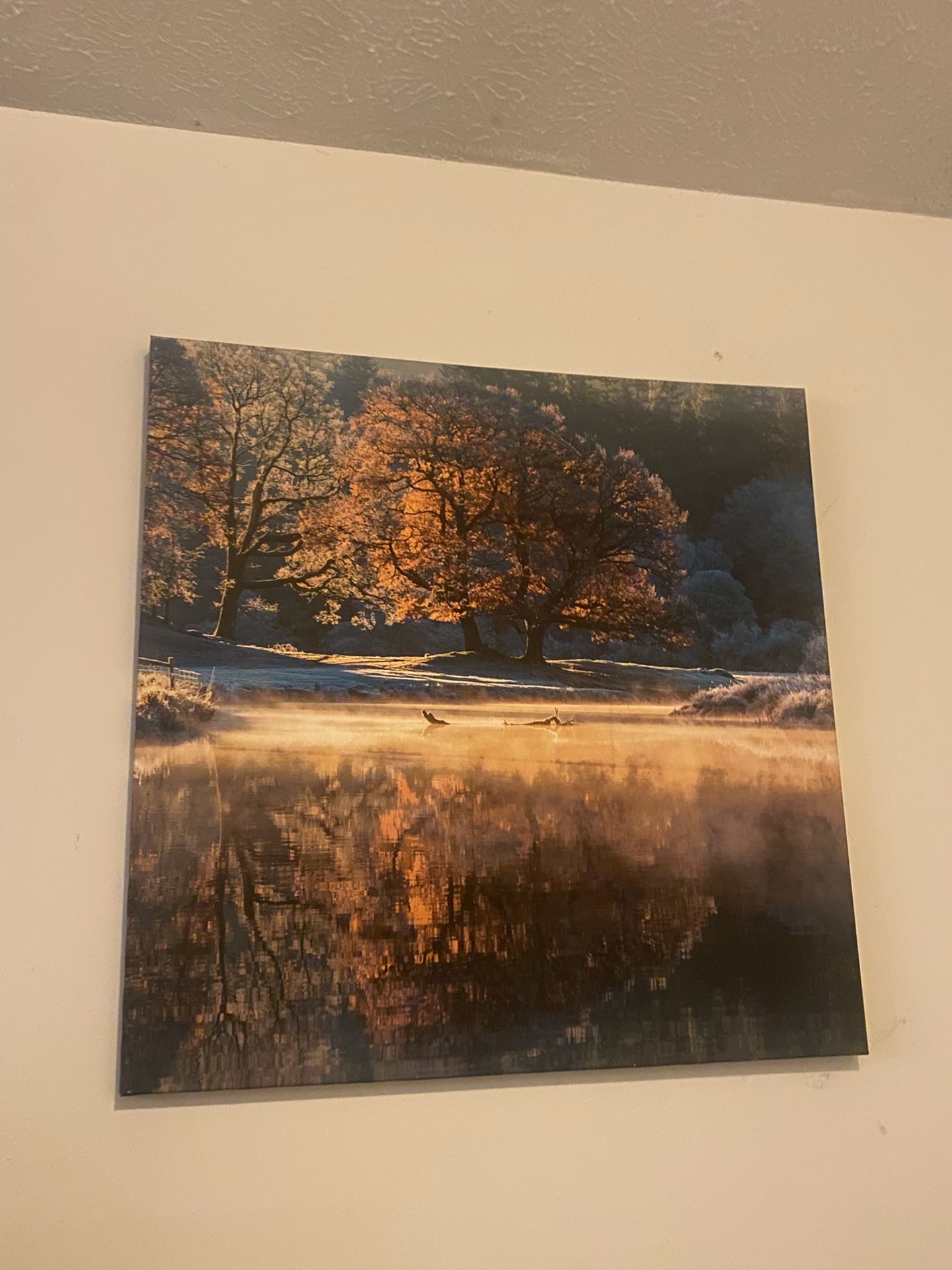 Decor