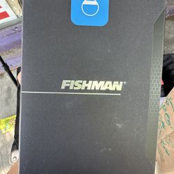 Fishman Rare Earth metal Soundhole Pickup