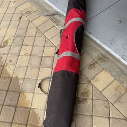Skis With Bags