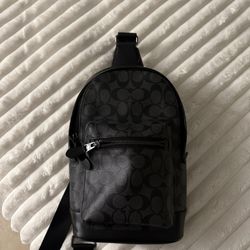 Coach Men Bag 