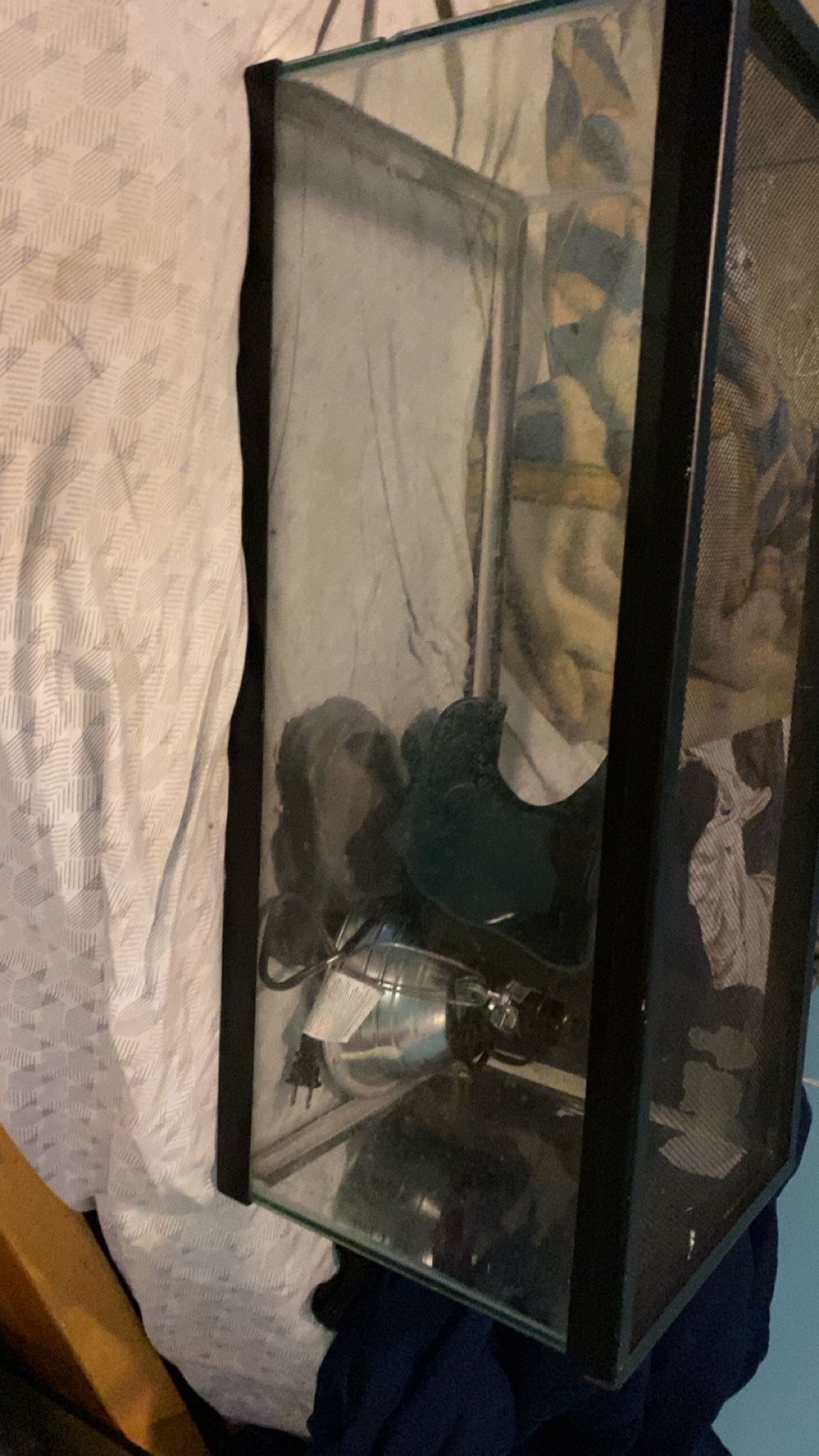 20 Gallon Reptile Tank