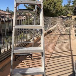 6 Foot Gorilla Ladder 