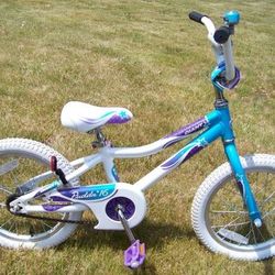 Very Nice 16" Girls Bike Giant Puddin'