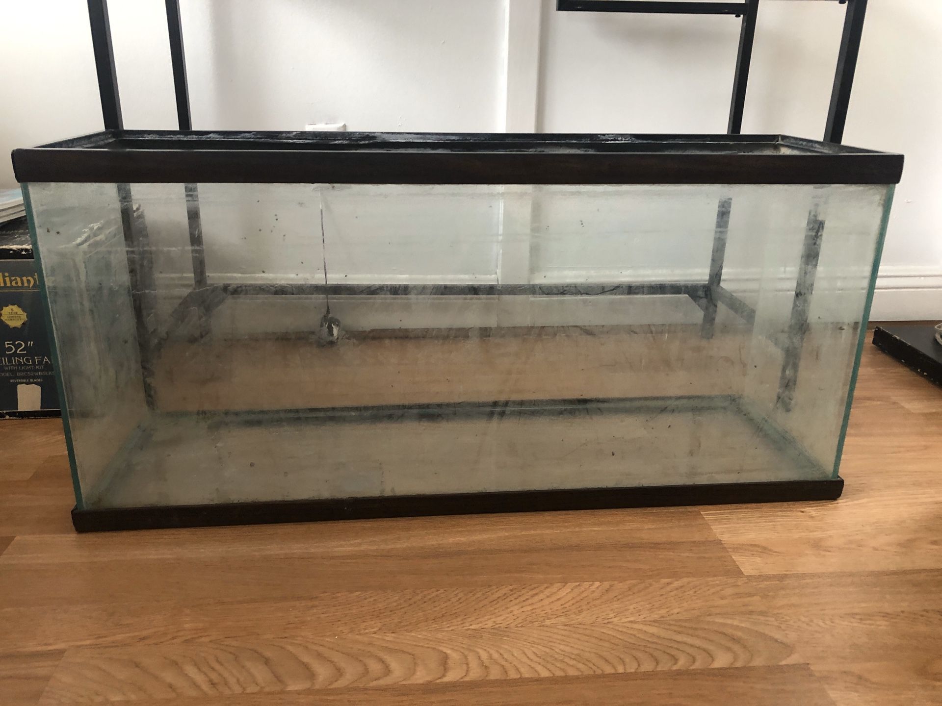 Fish tank or other glass 3ft x 1ft measurements obo