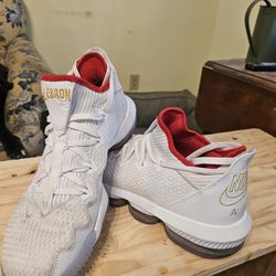 Lebron James Nike Air 