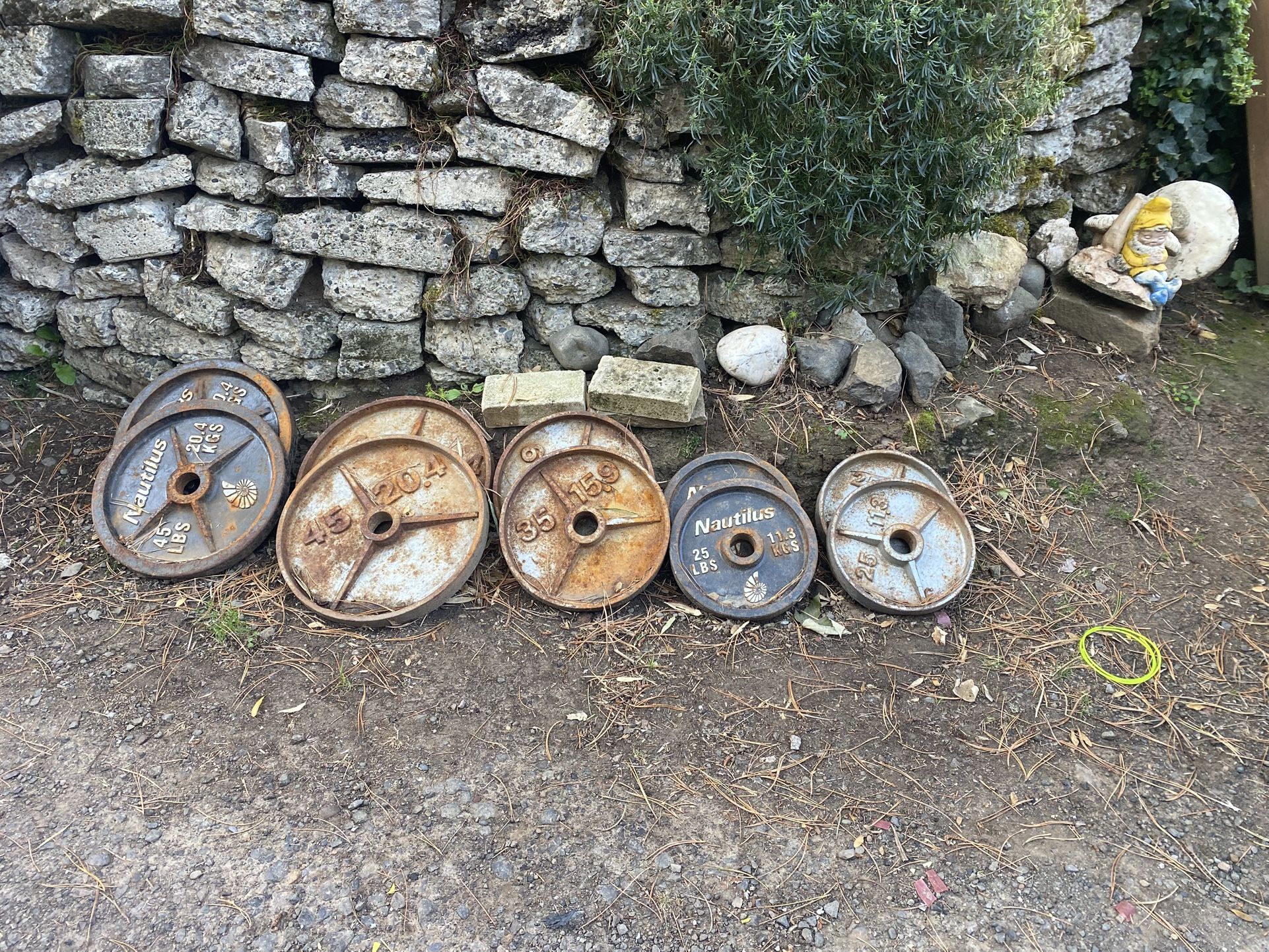 Weights 