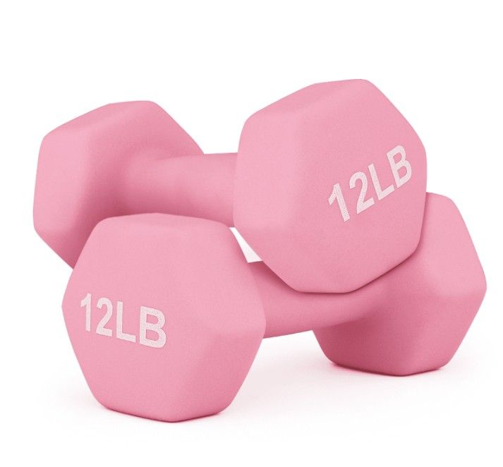 Two 12lb Dumbbells 24lb
