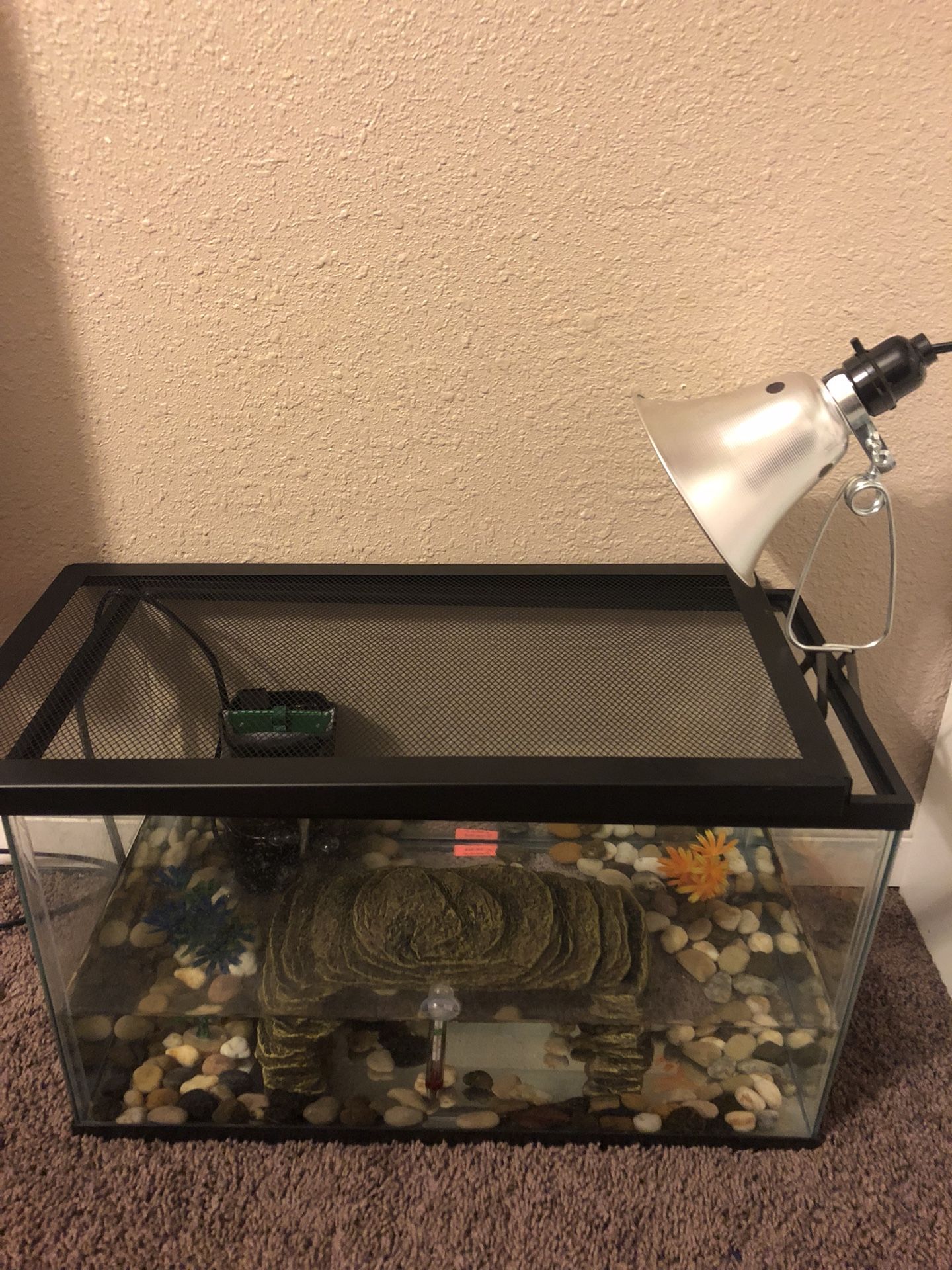 NEW TURTLE AQUARIUM/HABITAT W/ BABY TURTLE INCLUDED