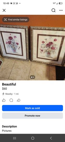 Beautiful Pictures
