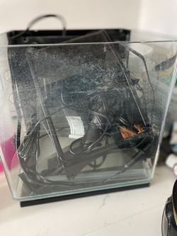 Fish Tank