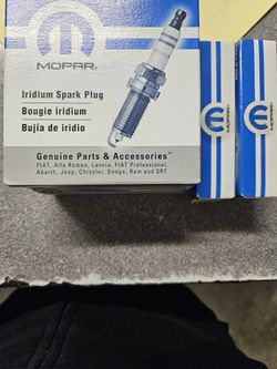 Spark Plugs