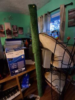Long rolled up grass