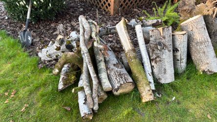 Free wood