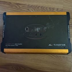 Quantum Audio QCA2000D Mono Amp — 2000W — Heavy Bass / Subwoofer Amp