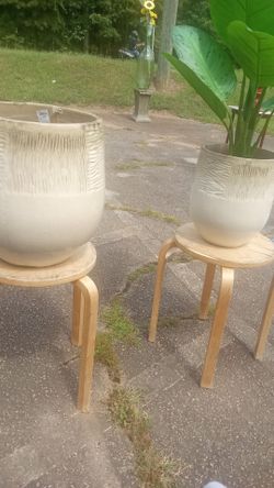 New garden planter's