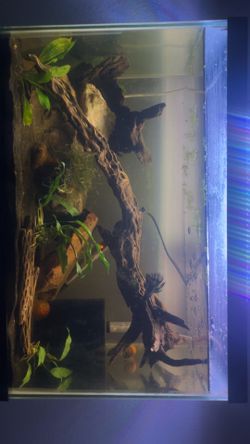 20 gallon tank almost new