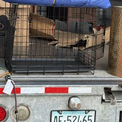 Small Pet Cage 