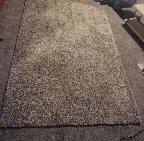 5ft X 7ft Rug Clean No Smoker No Pets Only $120