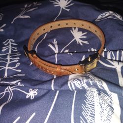 Michael Kors Dog Collar With Watch