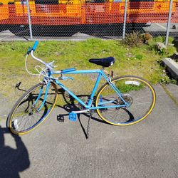 Early 80s Shogun 10 Speed