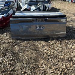 2021-25 Ford F150 Tailgate 