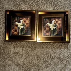 Pictures 20$ For Both