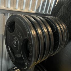 Exercise Equipment . Gym Equipment 