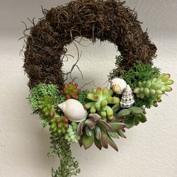 Live Succulent Plant Wreath
