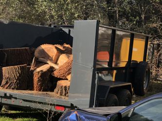 Eucalyptus Wood , Green needs sit 1-2 yr. 💥offer💰