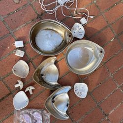 Cat Drinking Fountain