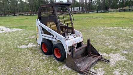 Bobcat little bitty sold as this