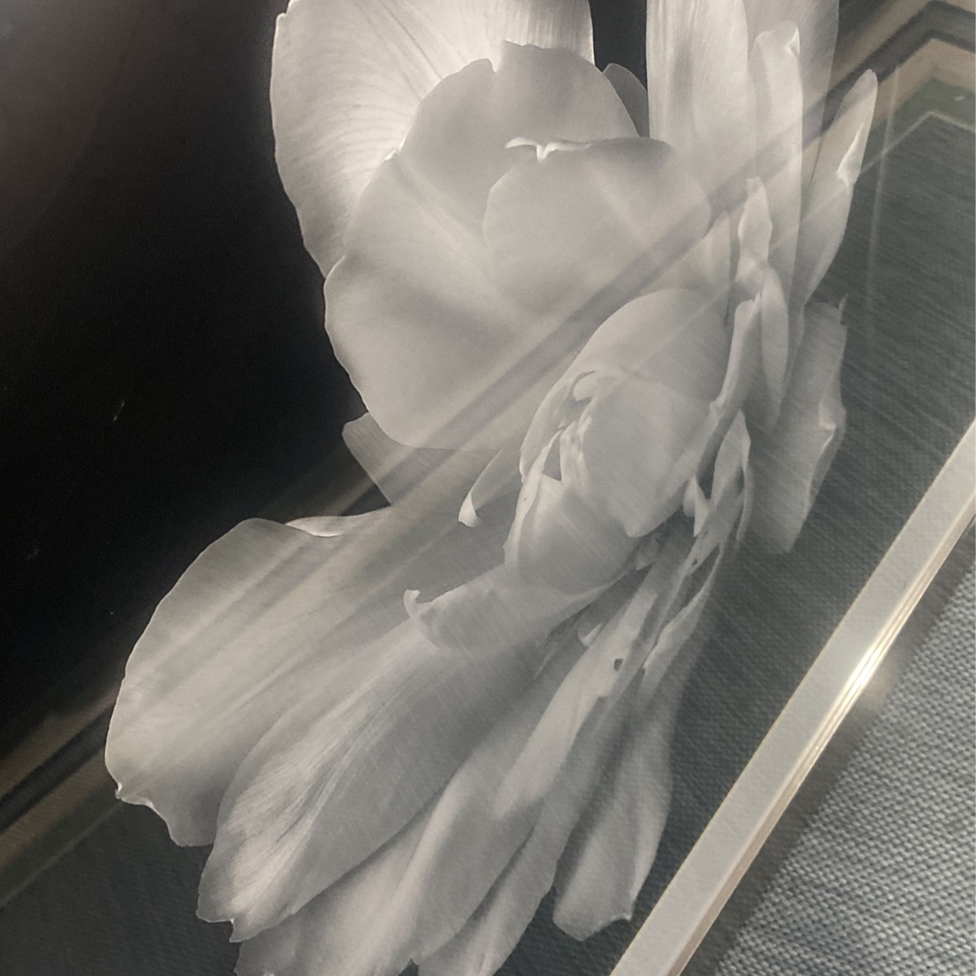 Z Gallery Picture Frame